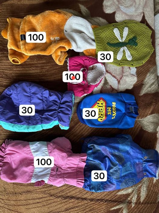 Одяг для маленької собачки б/у