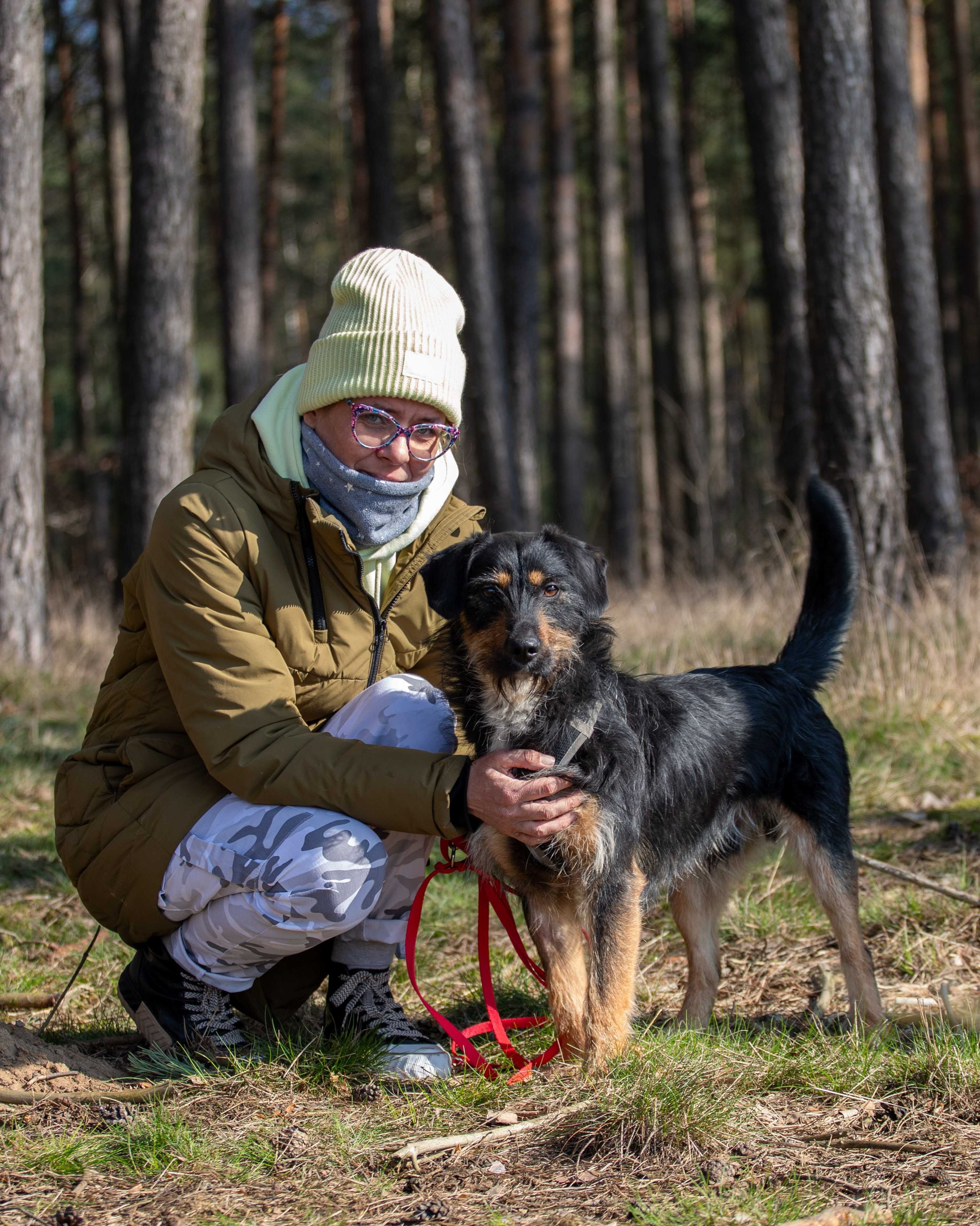 Rio - wesoły, przyjazny psiak do adopcji