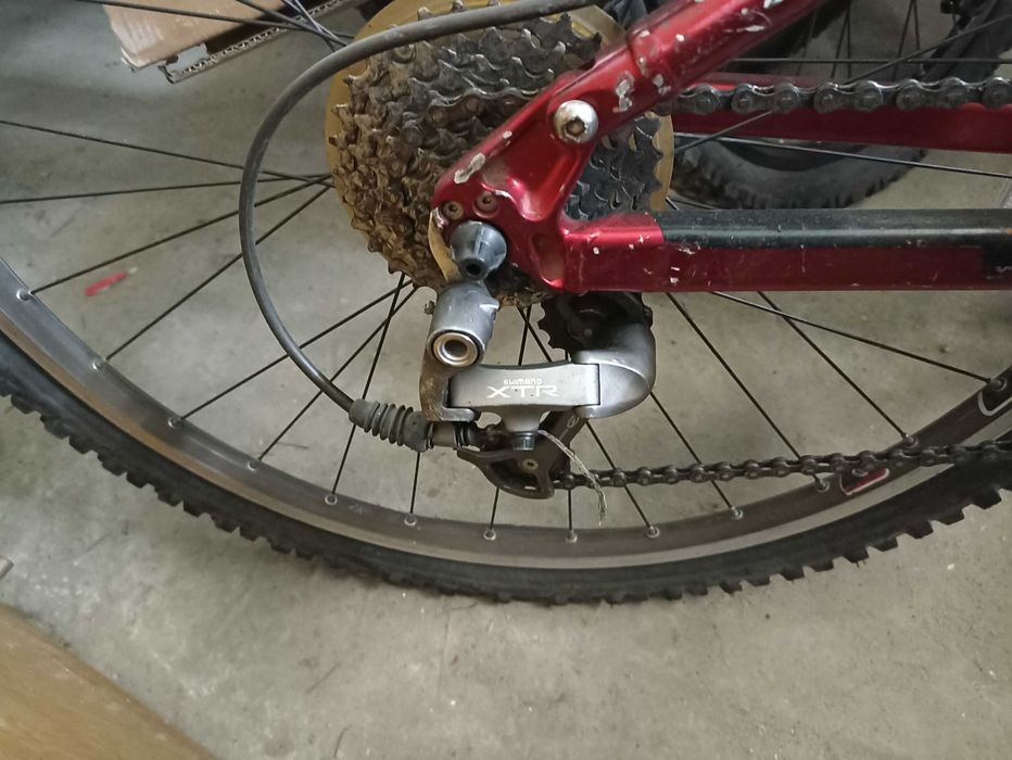 RAZORBACK K2 Noleen,xtr,avid