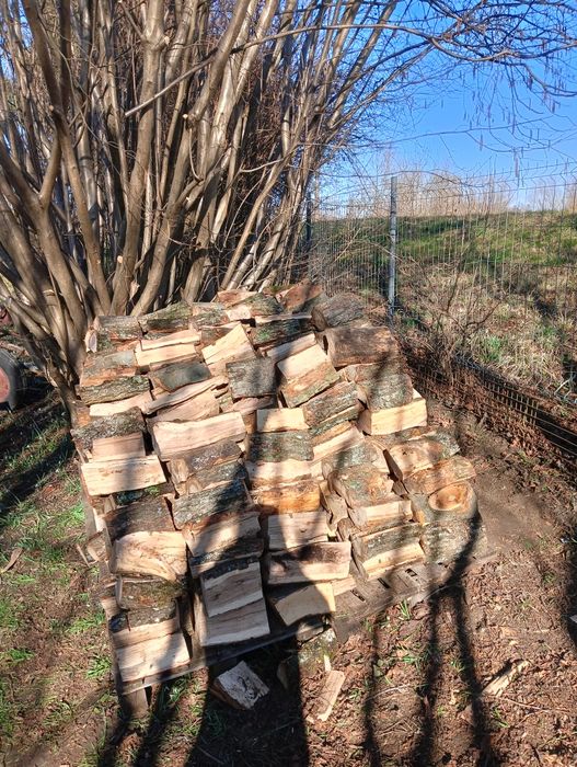 Drewno opałowe buk dąb