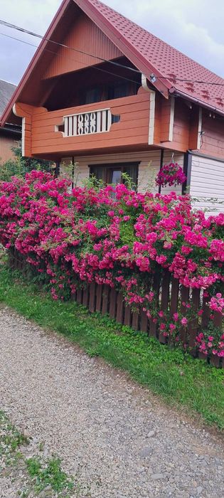 Відпочинок у Ворохті "Сімейний котедж"