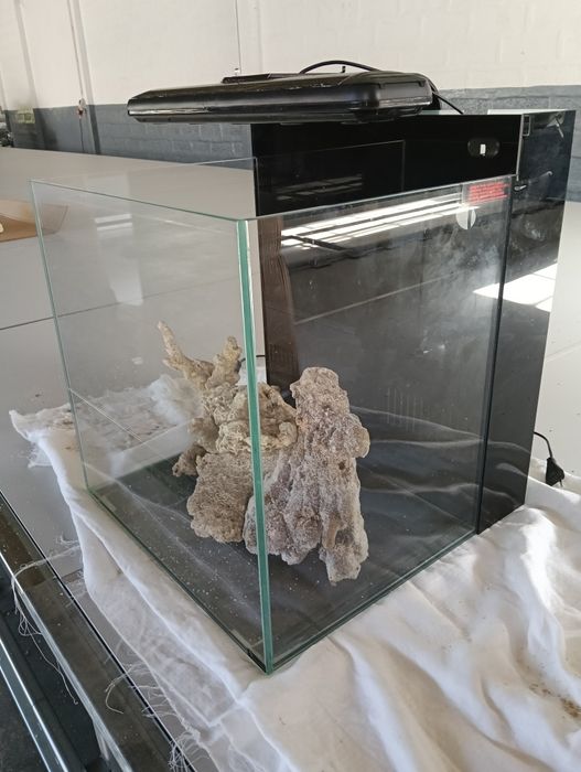 Aquário 50X50X50 água salgada