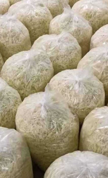 Kapusta biała szatkowana