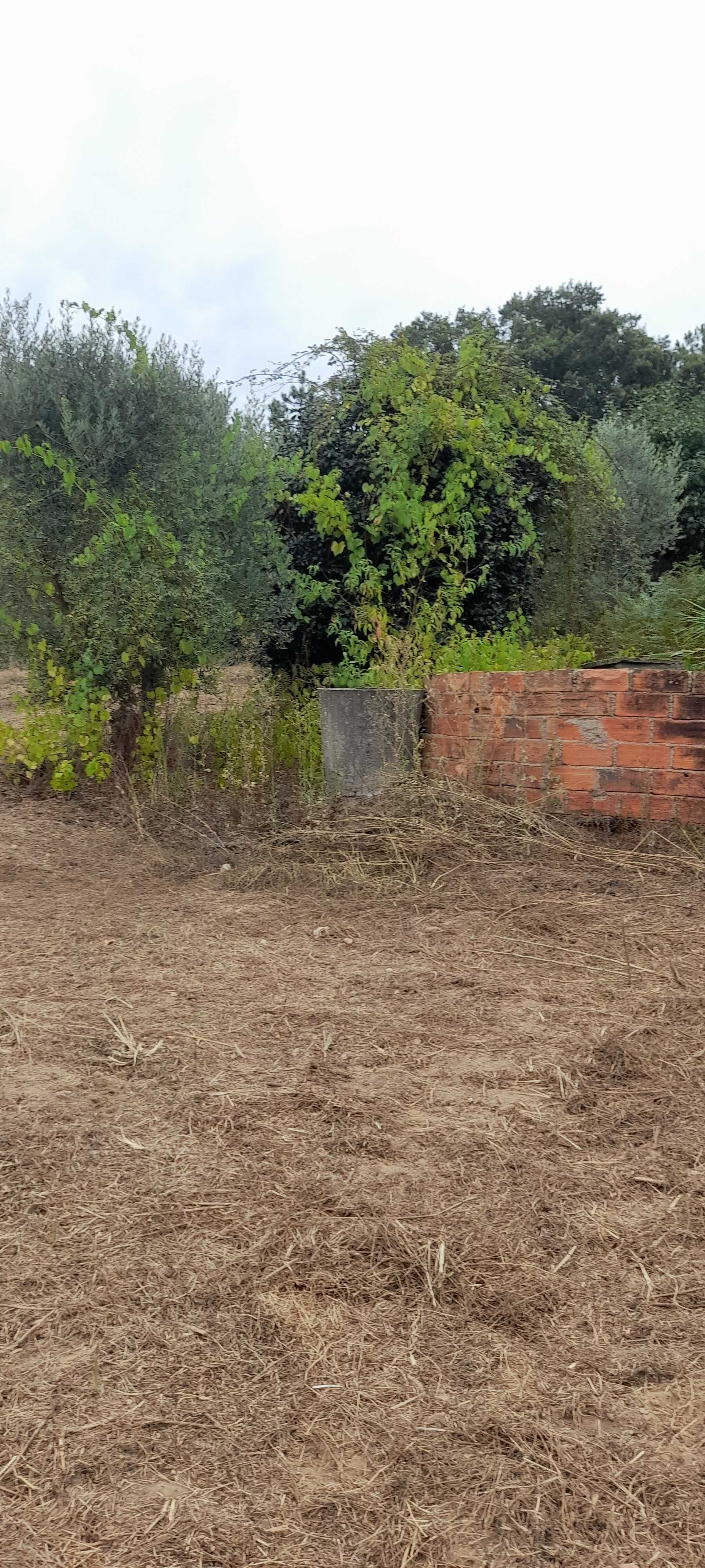 Terreno com casa para restaurar