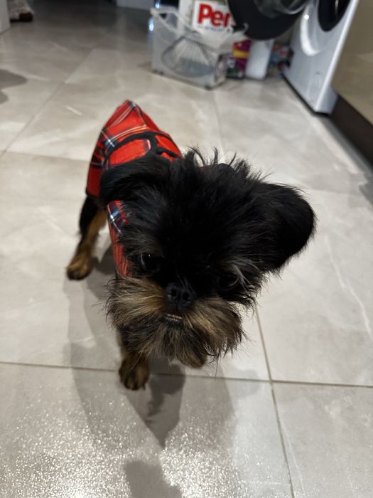 Płaszcz kurtka ubranko na deszcz