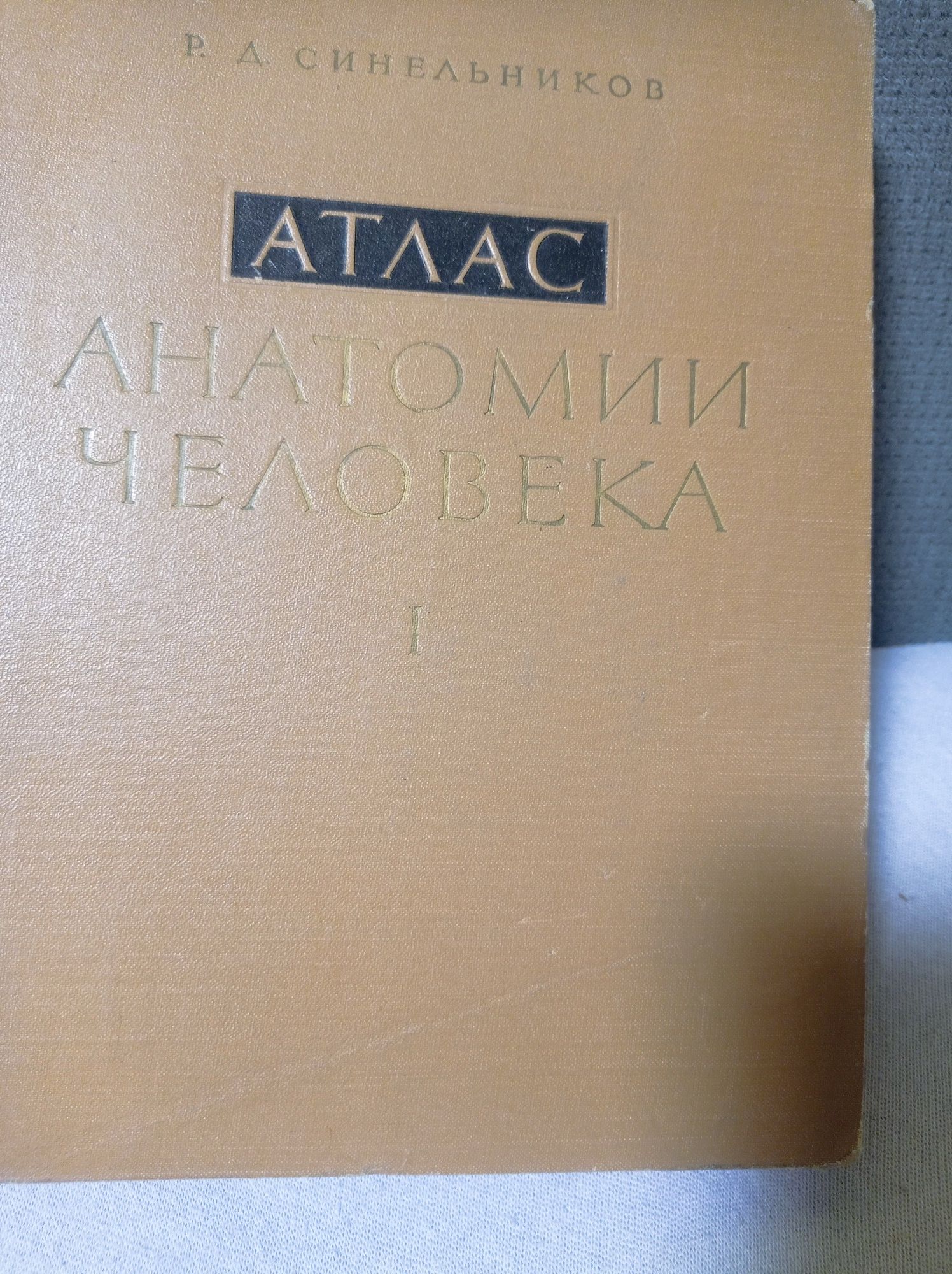 Синельников Атлас анатомии человека 1 том