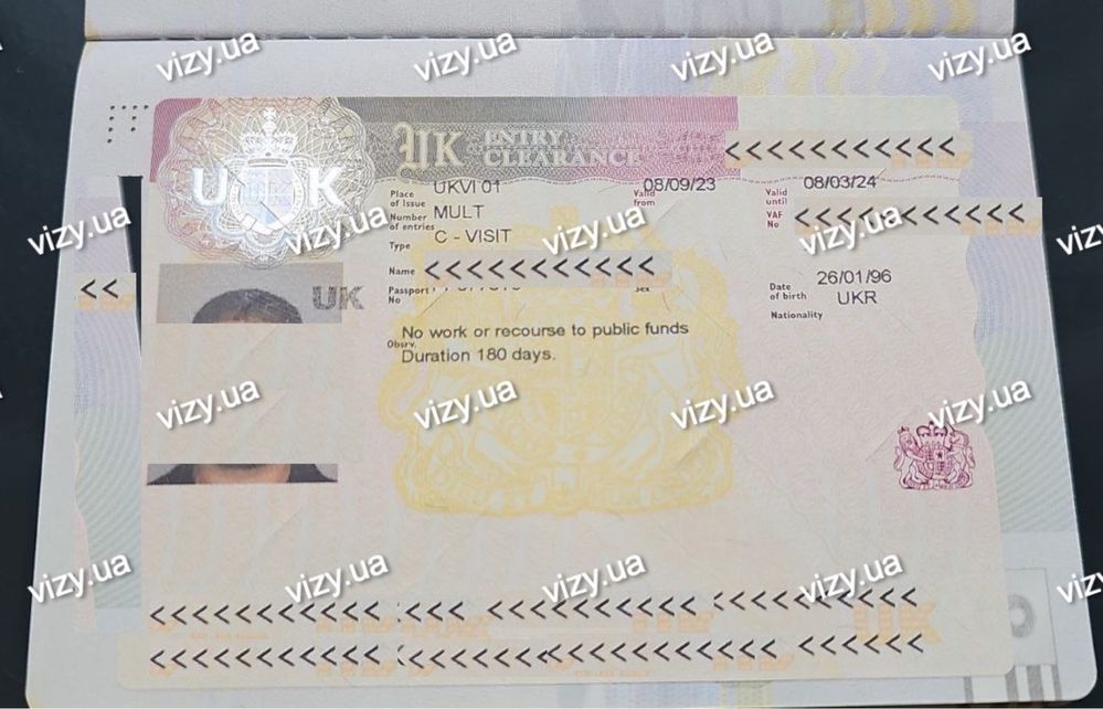 Срочно. Визы для иностранцев в Украине. Шенген, транзит vizy.ua