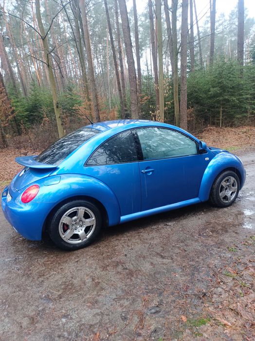 Volkswagen New Beetle (Garbus)