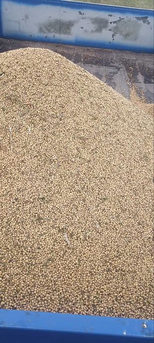 Продам вологу сою