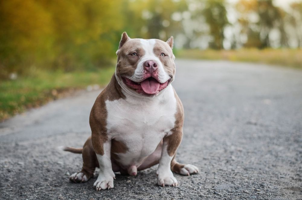 Відкритий для В'язки