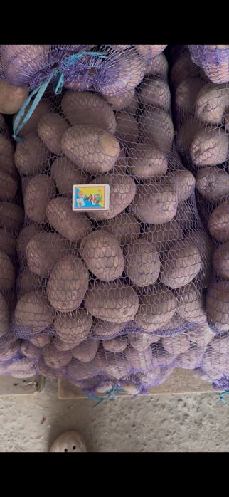 Доставка овочів / овощи с доставкой