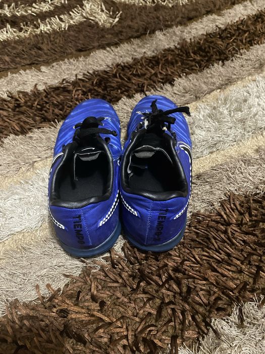 Сороконіжки олх