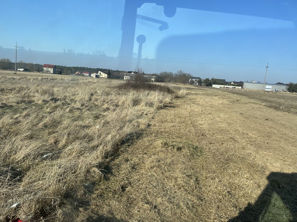 Wycinka drzew, krzaków, samosiejów, mulczowanie, koszenie, sprzątanie