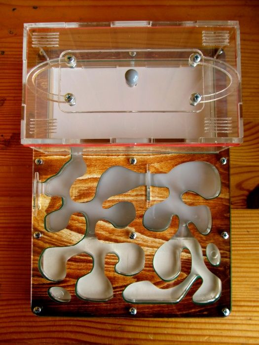 Муравьиная ферма (формикарий) «Anthouse» "дерево" + муравьи-жнецы