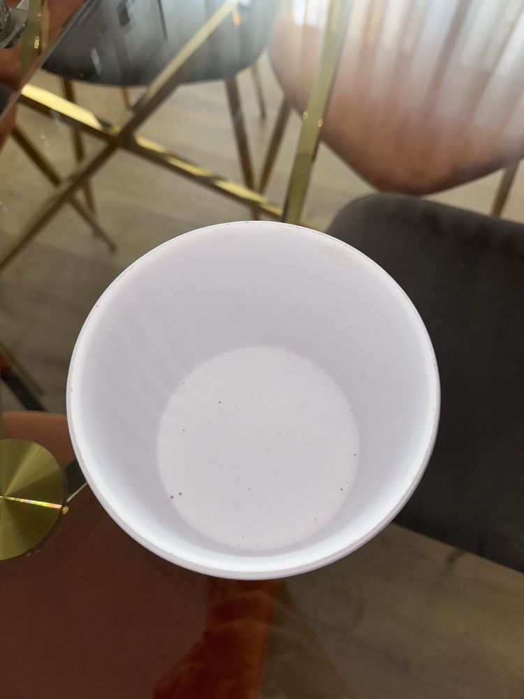 Vaso planta com padrão