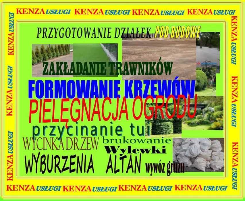Przycinanie Tui, Pielęgnacja,Zakładanie trawników ,Wycinka,Karczowanie