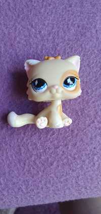 Littlest Pet Shop (LPS) - kot, kotek perski #521