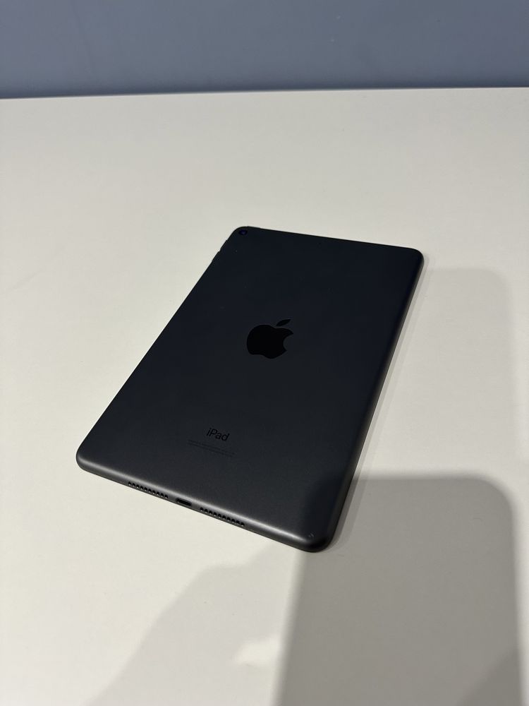 iPad mini 5 64gb Wi-Fi Gray (39)