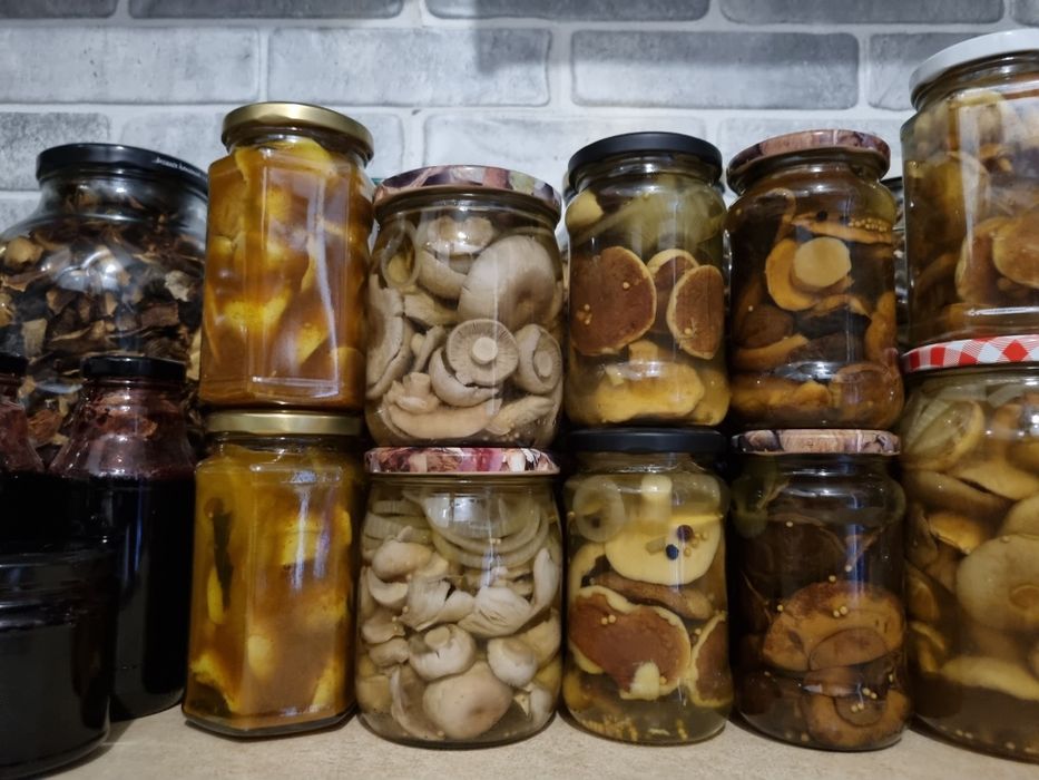 Suszone I marynowane grzyby Borowik podgrzybek maślak