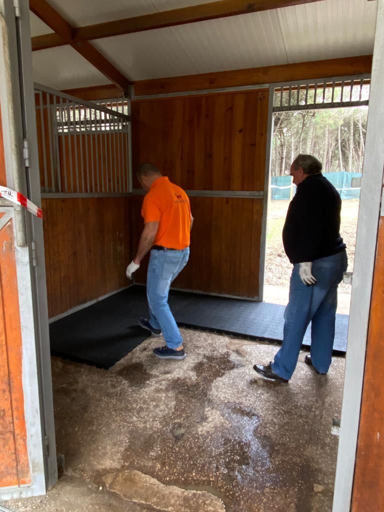 Pavimento Equestre para Boxes de Cavalos