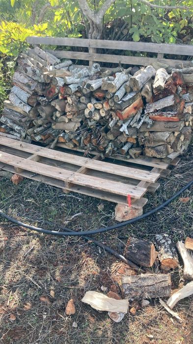 Lenha rachada para lareira. Mistura Alfarrobeira, Amendoeira e Oliveir
