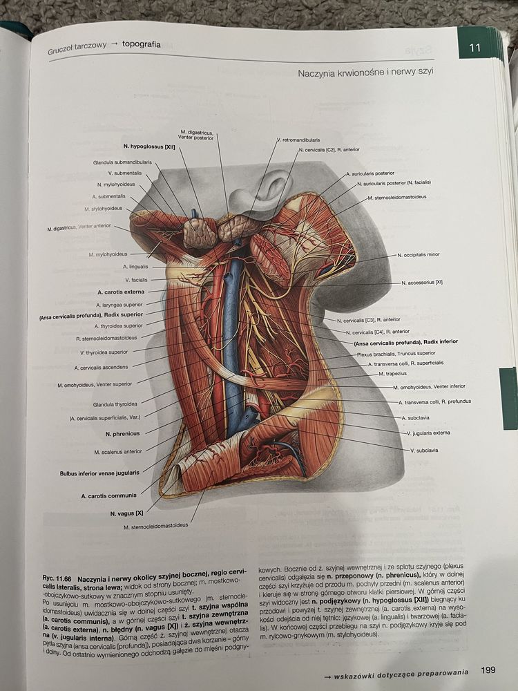 Zestaw atlasów do anatomii Sobotta