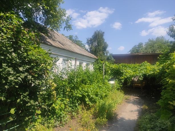 Продам дом с землёй (18.19 соток) в хорошем месте, ул. Ярошивская