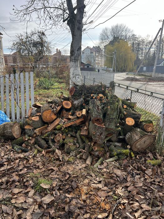 Дрова (фруктове дерево) і дошка з даху.