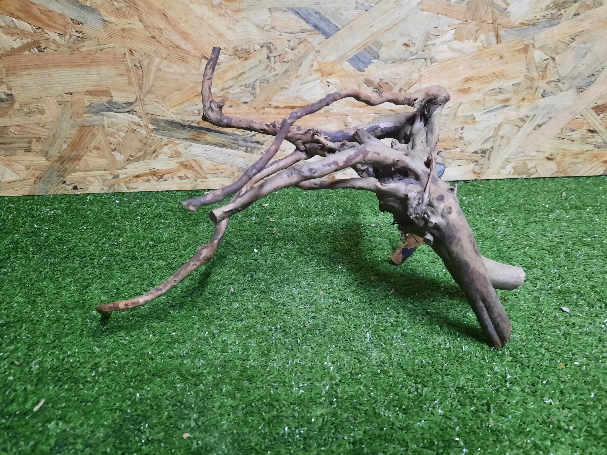 Korzeń do akwarium Red Moore Wood nr 921 o wymiarach 30/18/17