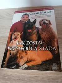 Jak zostać przywódcą stada książka Cesar Millan zaklinacz psów