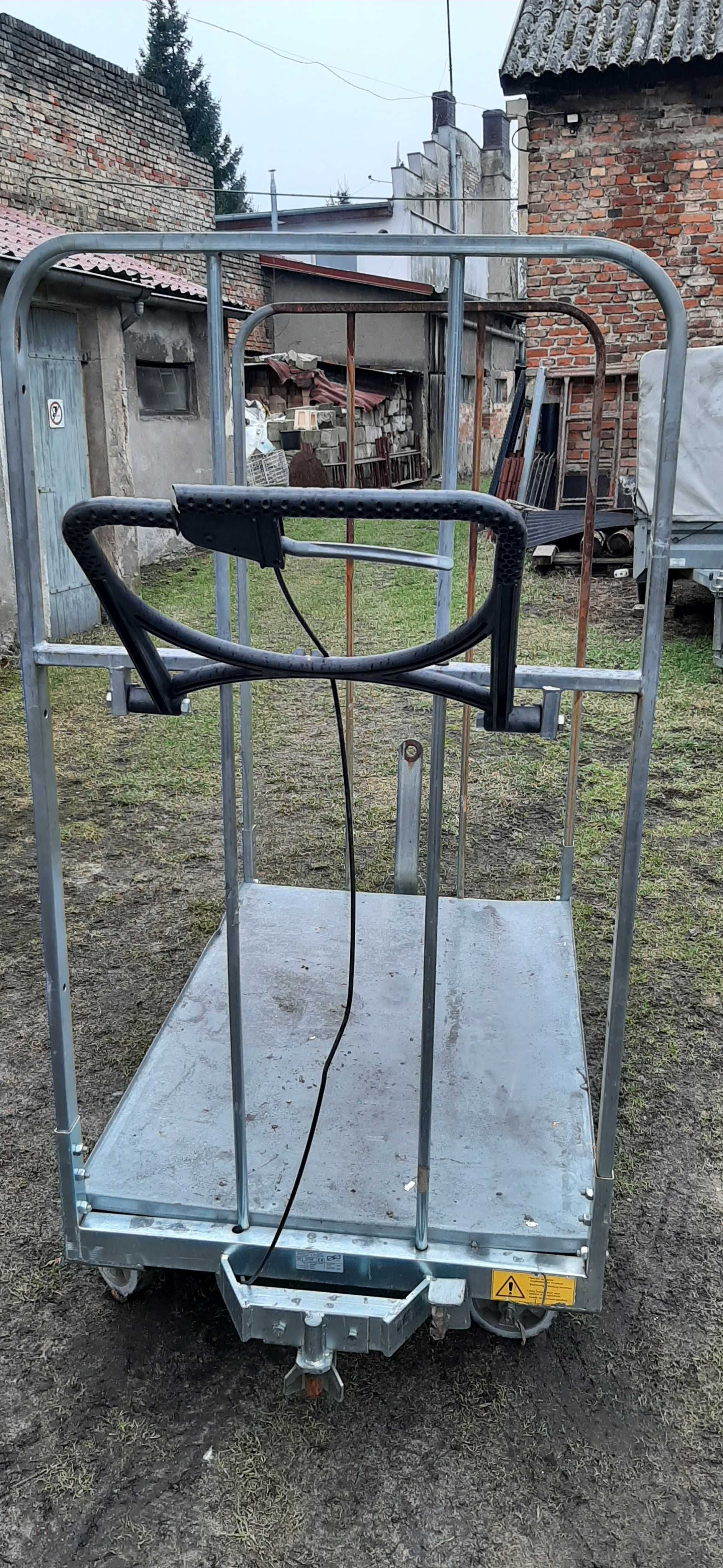wózek transportowy - magazynowy-do przewozu drzewa do kotłowni