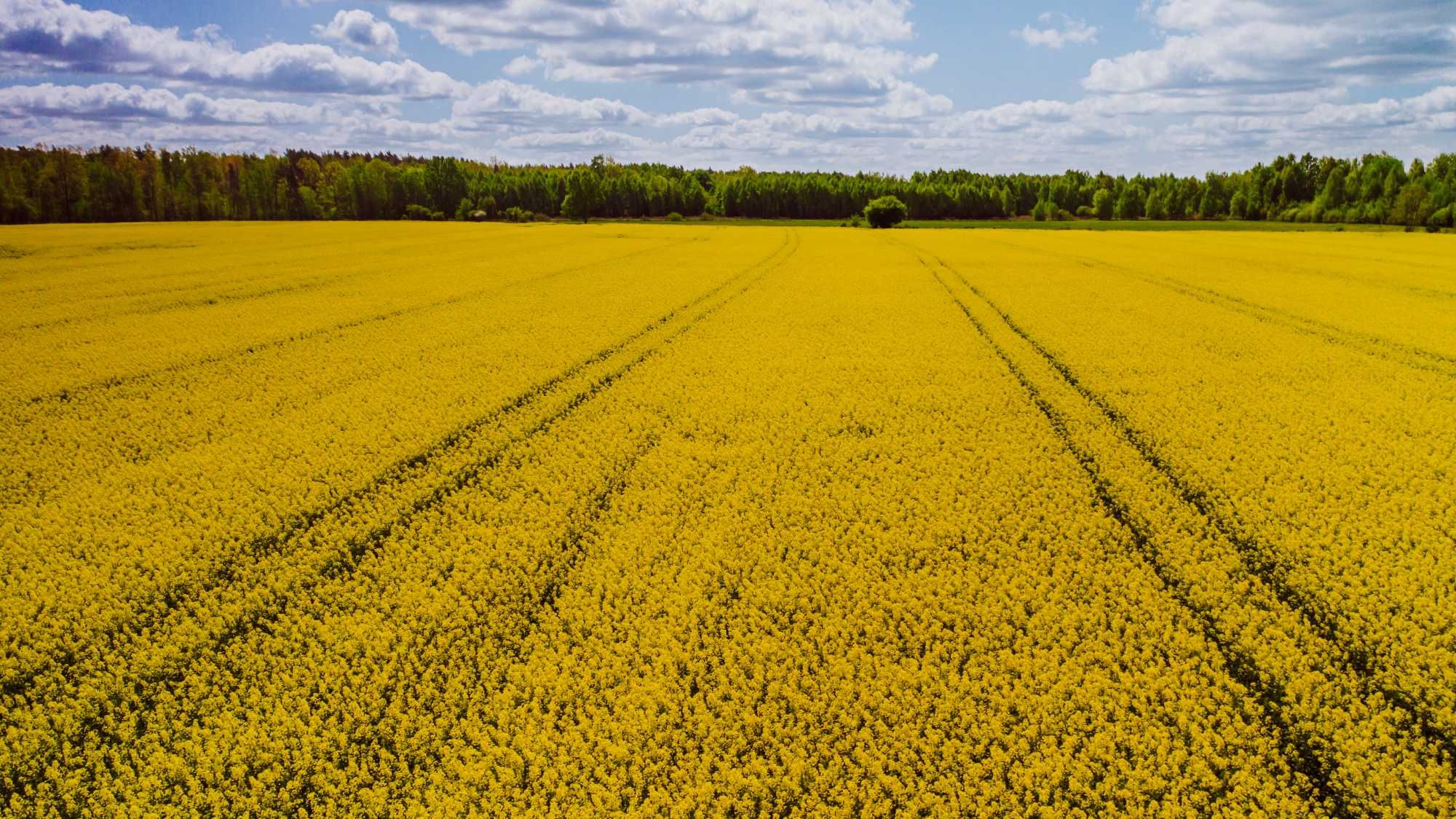 Usługi dronem - Film i Zdjęcia z drona, fotografia i filmowanie, live