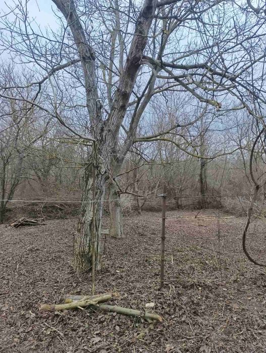 Чистка Ділянок Уборка Участків