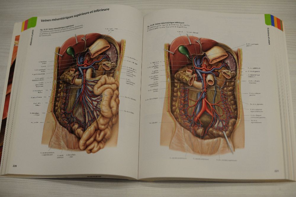 Атлас анатомии человека на французском atlas d'anatomie MALOINE 2010