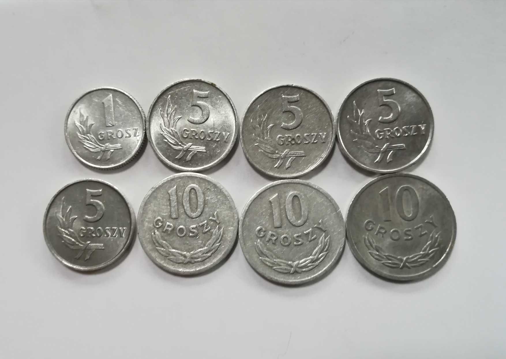 Monety w zestawie 8 szt. 1gr 1949  (ok. menniczy), 4x5gr, 3x10gr. 55zł