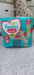 Pampers pants 4 nowe opakowanie