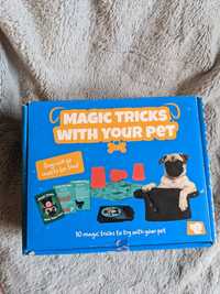 Magiczne sztuczki z psem