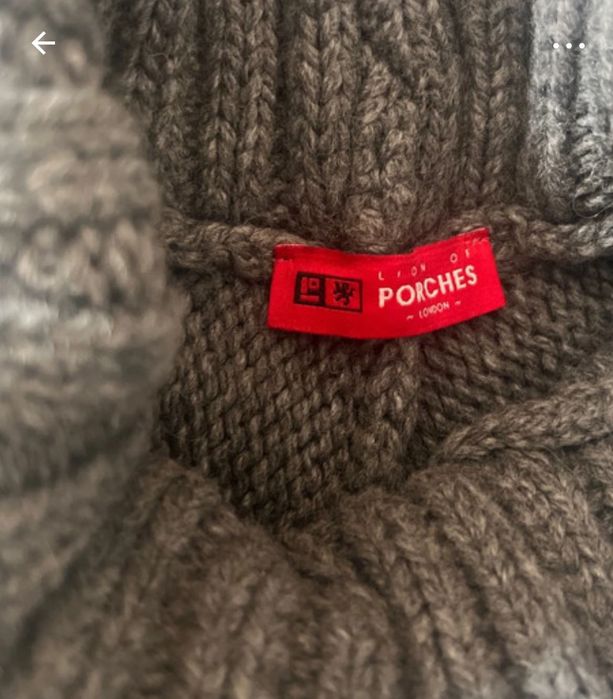 Poncho Lion of Porches