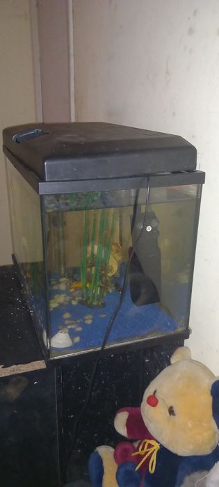 Aquario e maquina de aquecer agua