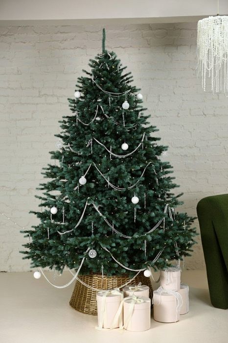 Аляска зелена з блакитними кінчиками лита ялинка преміум класу Ёлка