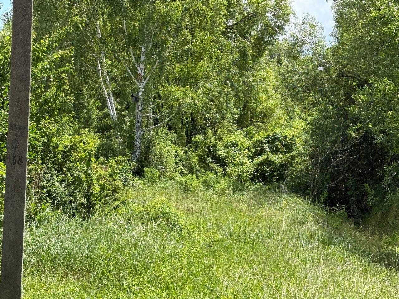 Продаж ділянки 12сот під забудову. Є охорона. Поряд ліс і озеро.ID:153