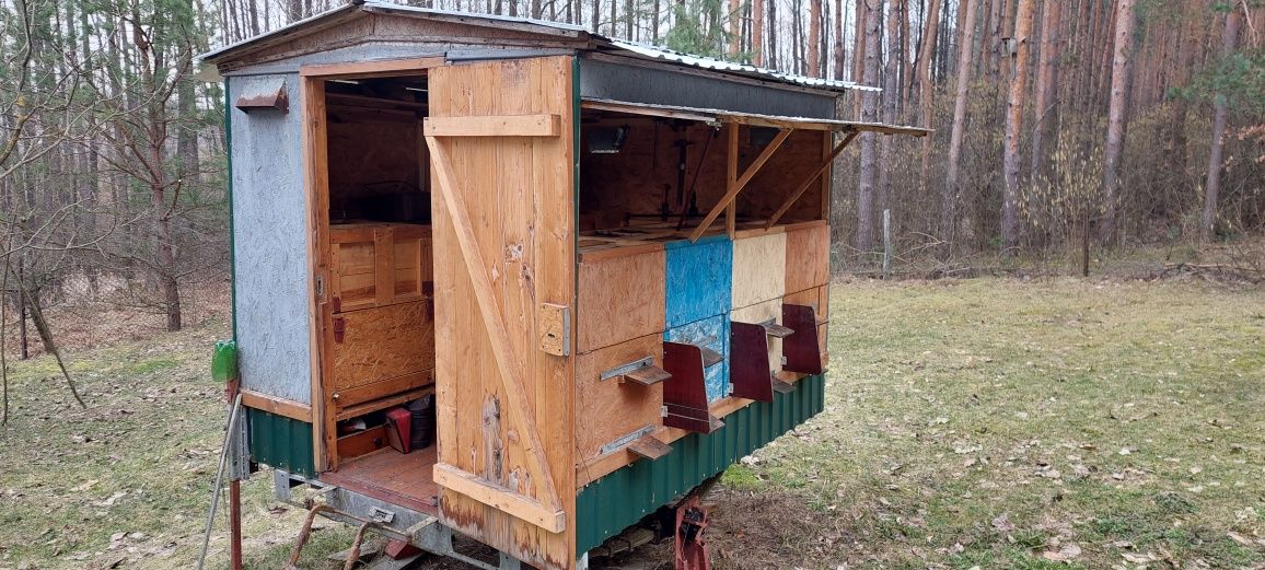 Павільйон для  бджіл