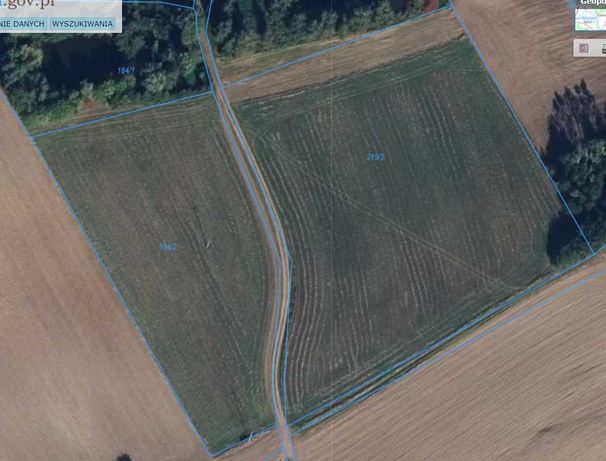 Sprzedam grunty rolne 5,43 ha, Gmina Dobromierz