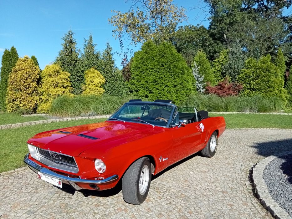 Ford Mustang do ślubu / samochód / kabriolet / klasyk / cabriolet