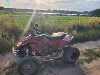 EGL Mad Max 300 QUAD ATV, zarejestrowany