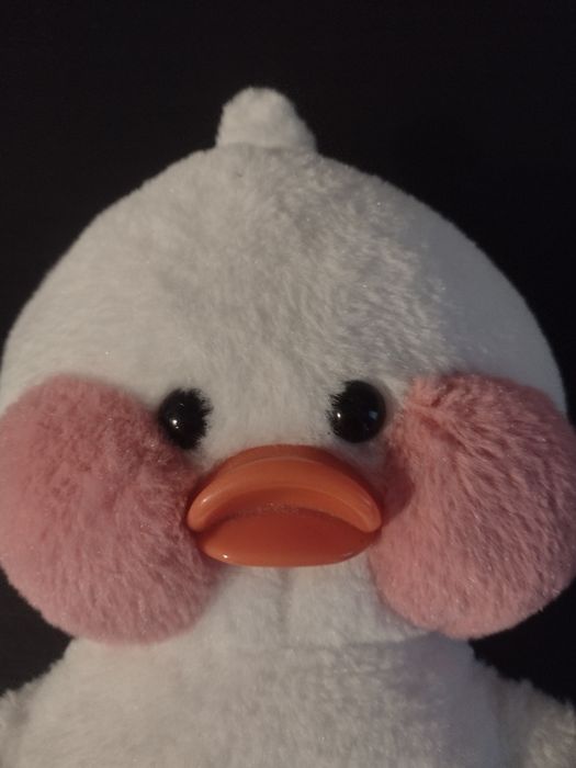 Maskotka przytulanka kaczuszka