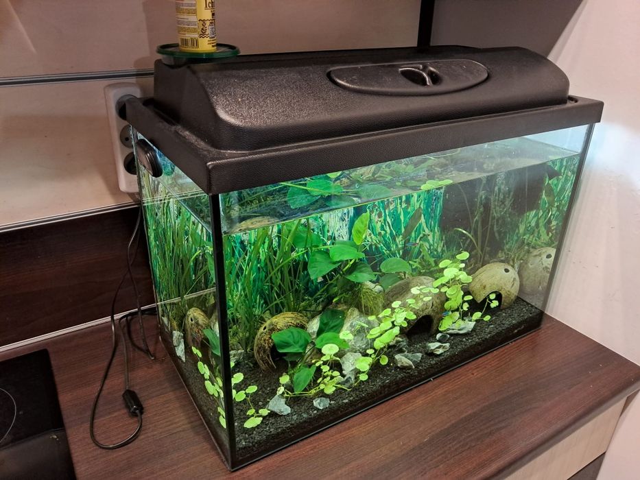 Akwarium 75l z wyposażeniem i rybkami