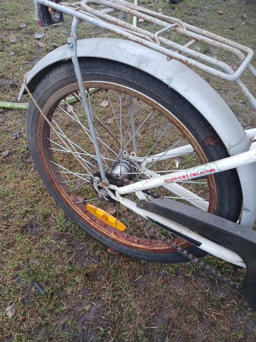 Rower dla chłopca jak I dla dziewczynki