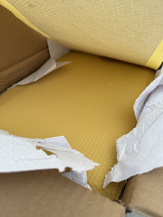 Węza pszczela wielkopolska hurt