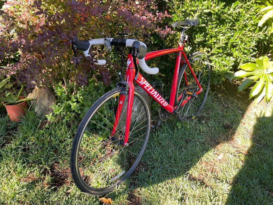 Specialized Langster seminova